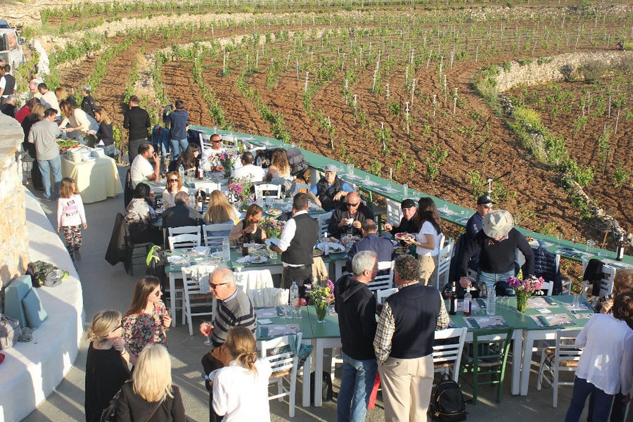 Tourists sitting on the tables and enjoy a wine tasting at 'Manalis Winery' terrace